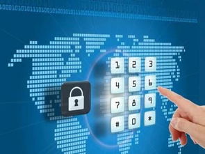 成都高新首創(chuàng)“自貿(mào)通” 融資、降費與網(wǎng)絡(luò)技術(shù)服務(wù)一體化解決方案